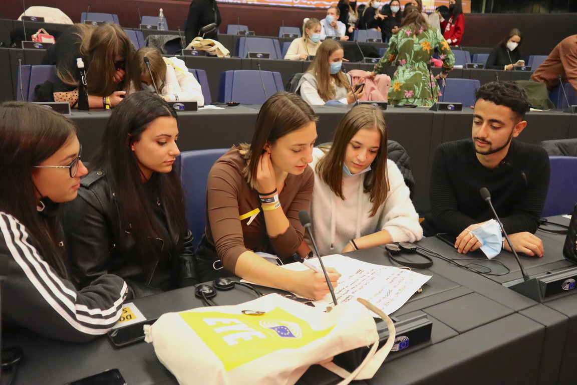 Turning ECI Review into Urgently Needed Legislative Reform - Citizens
